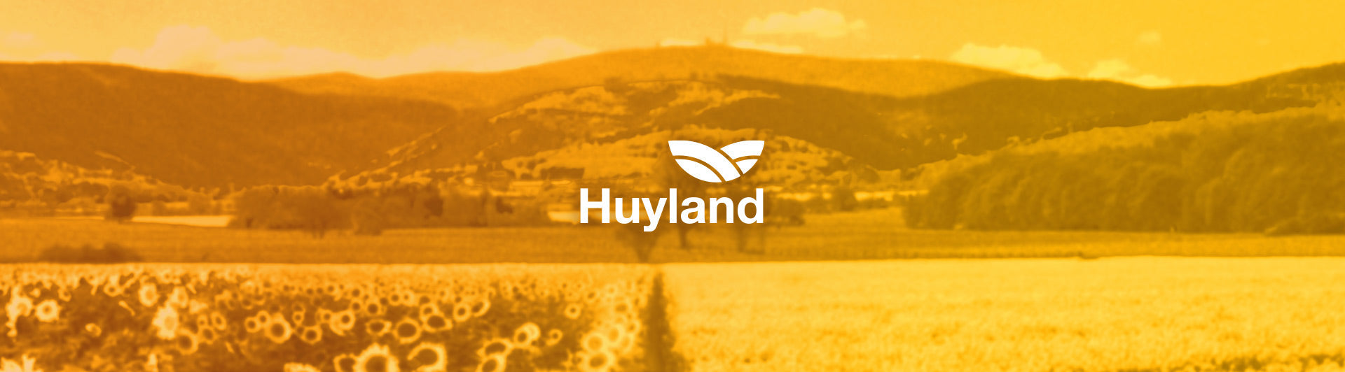 Huyland