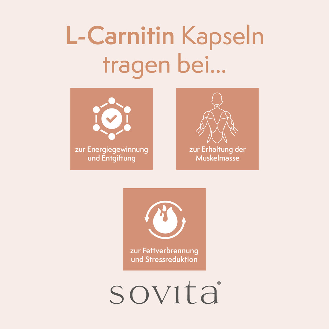 sovita L-Carnitin Kapseln