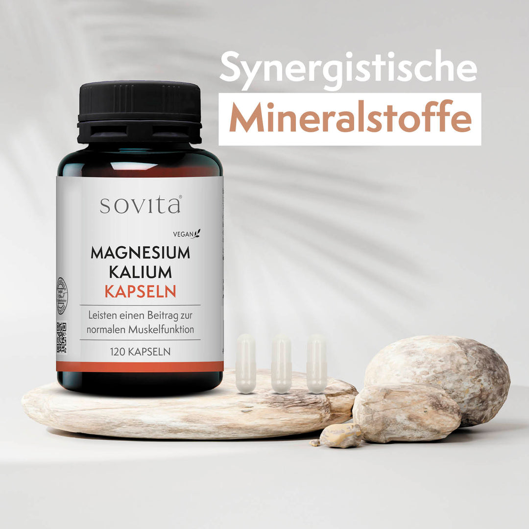 sovita Magnesium Kalium Kapseln