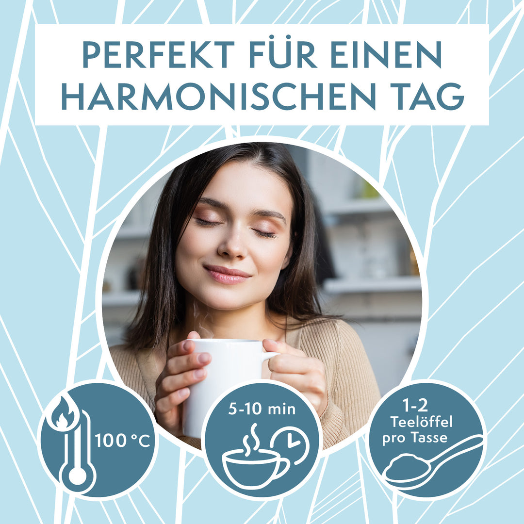 sovita Bio Zimt-Ingwer Gewürztee