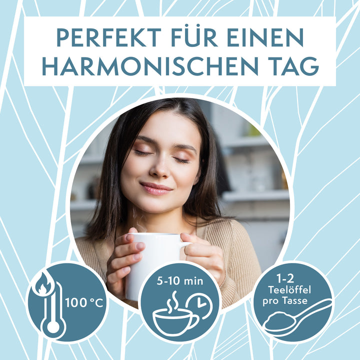 sovita Bio Zimt-Ingwer Gewürztee