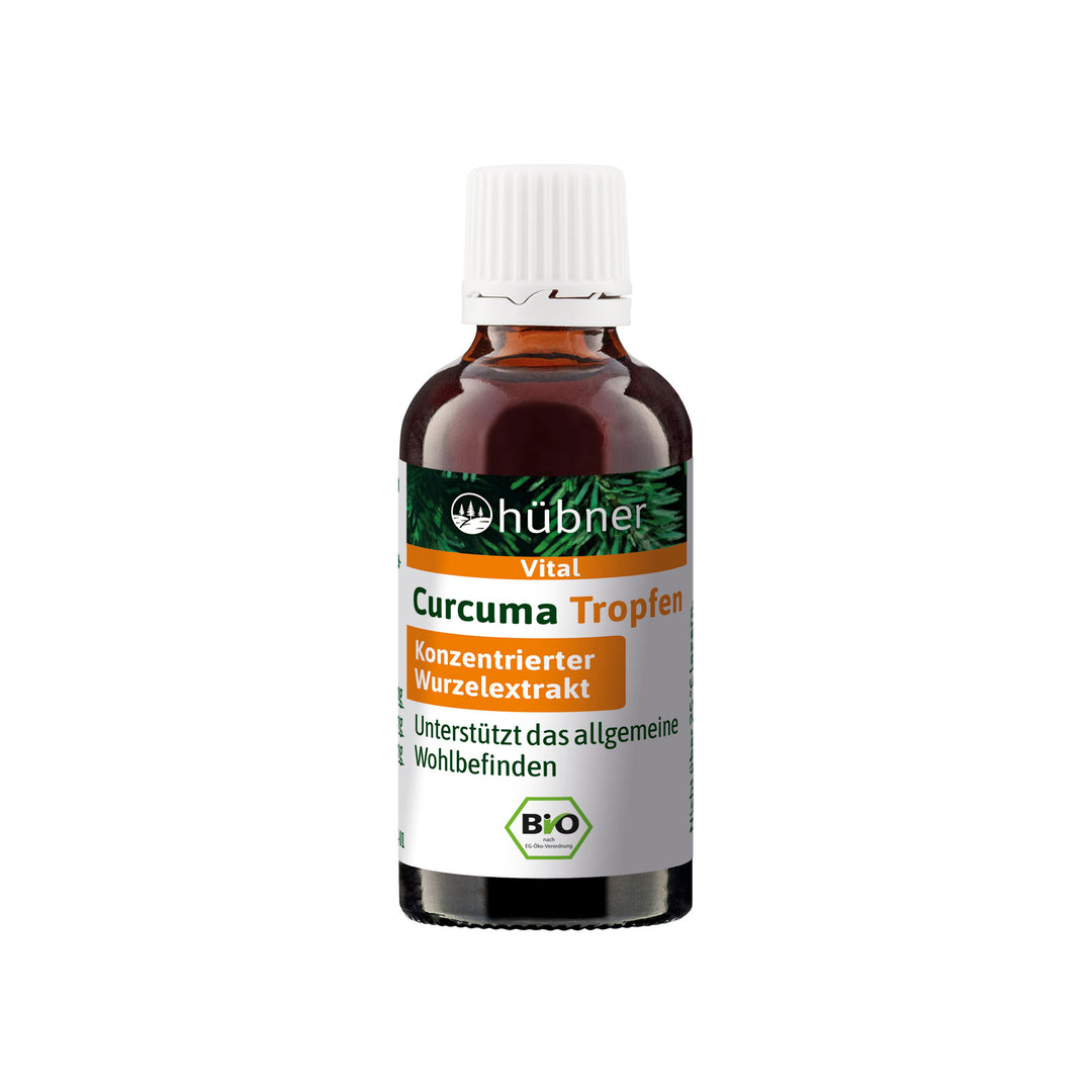 Hübner Curcuma Tropfen Bio (20 ml)
